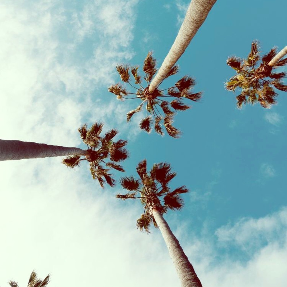 Meet your Posher, Carla